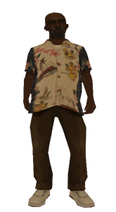 Skin 14