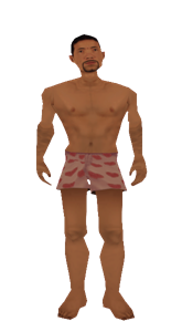 Naked Valet