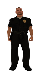Pulaski